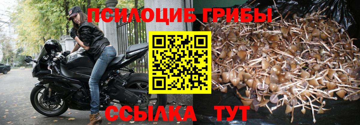 Нефтеюганск  Галлюциногенные грибы Cubensis  Псилоцибиновые грибы MAGIC MUSHROOMS  Вход с VPN 